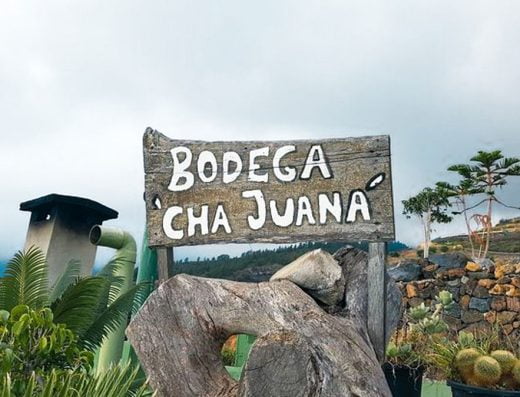 Bodega Cha Juana