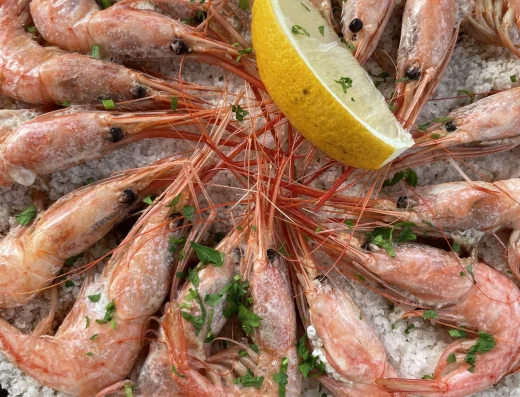 comida en restaurante bogavante