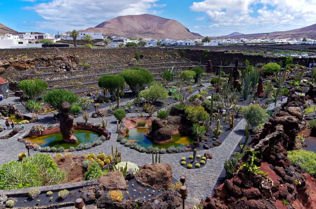 Jardin de Cactus Lanzarote